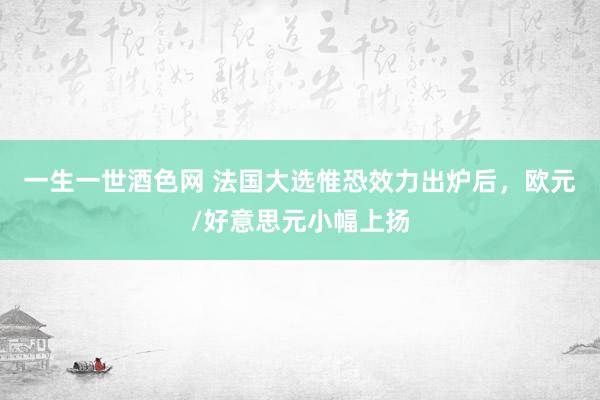 一生一世酒色网 法国大选惟恐效力出炉后，欧元/好意思元小幅上扬