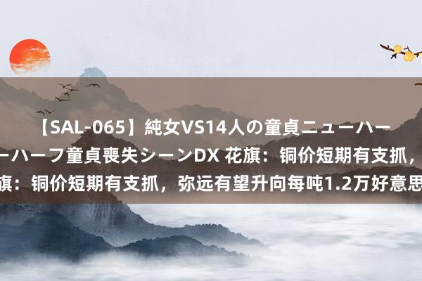 【SAL-065】純女VS14人の童貞ニューハーフ 二度と見れないニューハーフ童貞喪失シーンDX 花旗：铜价短期有支抓，弥远有望升向每吨1.2万好意思元！