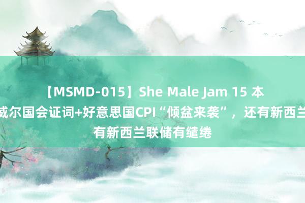 【MSMD-015】She Male Jam 15 本周前瞻：鲍威尔国会证词+好意思国CPI“倾盆来袭”，还有新西兰联储有缱绻