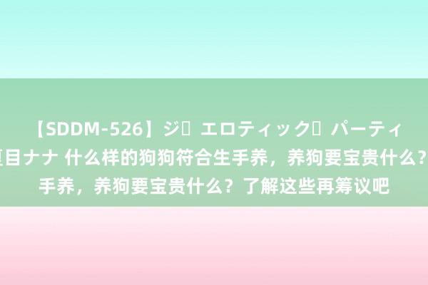 【SDDM-526】ジ・エロティック・パーティー ～悦楽の扉～ 夏目ナナ 什么样的狗狗符合生手养，养狗要宝贵什么？了解这些再筹议吧