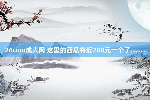 26uuu成人网 这里的西瓜将近200元一个了……