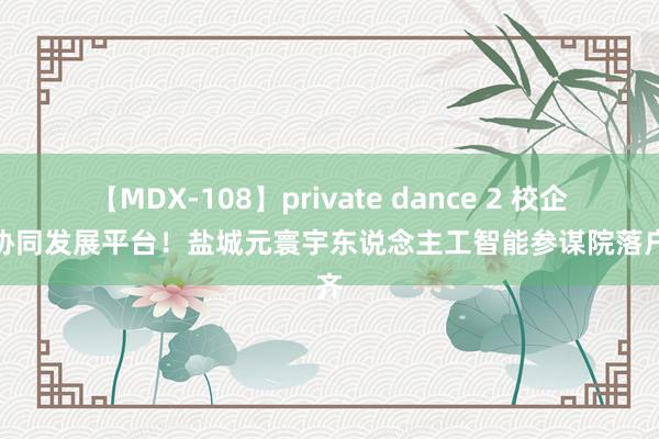 【MDX-108】private dance 2 校企共建协同发展平台！盐城元寰宇东说念主工智能参谋院落户盐齐