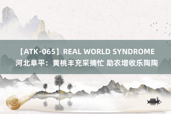 【ATK-065】REAL WORLD SYNDROME 河北阜平：黄桃丰充采摘忙 助农增收乐陶陶