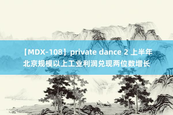 【MDX-108】private dance 2 上半年北京规模以上工业利润兑现两位数增长