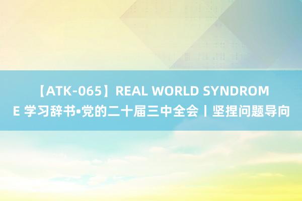 【ATK-065】REAL WORLD SYNDROME 学习辞书•党的二十届三中全会丨坚捏问题导向