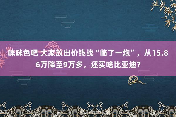 咪咪色吧 大家放出价钱战“临了一炮”，从15.86万降至9万多，还买啥比亚迪？