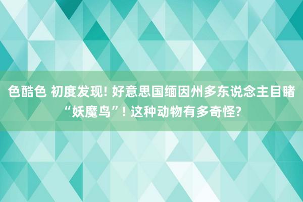 色酷色 初度发现! 好意思国缅因州多东说念主目睹“妖魔鸟”! 这种动物有多奇怪?