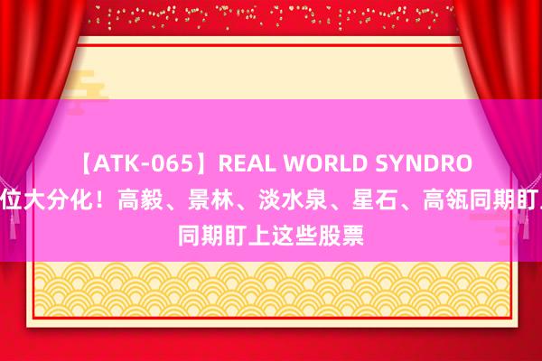 【ATK-065】REAL WORLD SYNDROME 私募仓位大分化！高毅、景林、淡水泉、星石、高瓴同期盯上这些股票