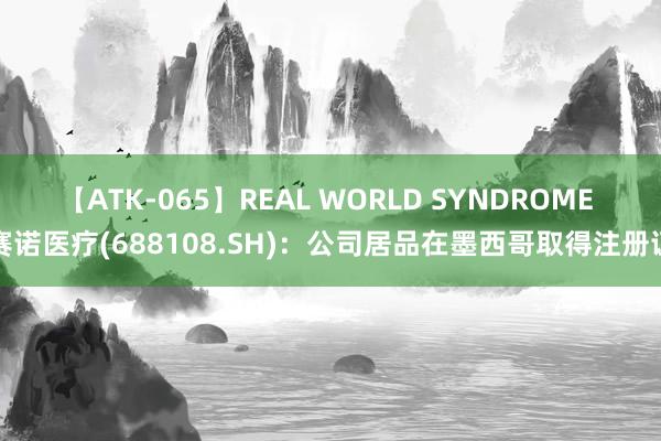 【ATK-065】REAL WORLD SYNDROME 赛诺医疗(688108.SH)：公司居品在墨西哥取得注册证