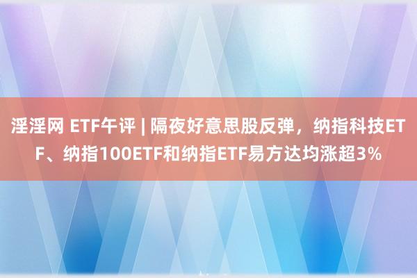 淫淫网 ETF午评 | 隔夜好意思股反弹，纳指科技ETF、纳指100ETF和纳指ETF易方达均涨超3%