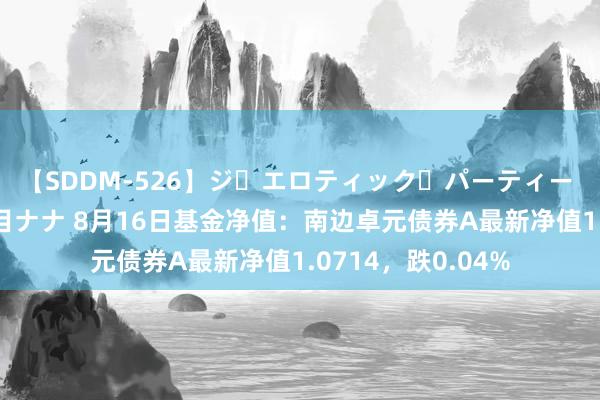 【SDDM-526】ジ・エロティック・パーティー ～悦楽の扉～ 夏目ナナ 8月16日基金净值：南边卓元债券A最新净值1.0714，跌0.04%