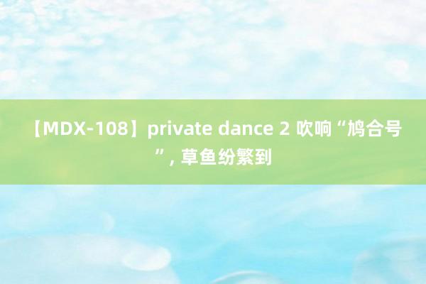 【MDX-108】private dance 2 吹响“鸠合号”， 草鱼纷繁到