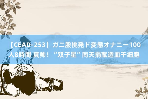 【CEAD-253】ガニ股挑発ド変態オナニー100人8時間 真帅！“双子星”同天捐献造血干细胞