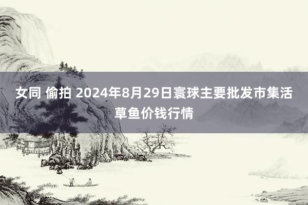 女同 偷拍 2024年8月29日寰球主要批发市集活草鱼价钱行情