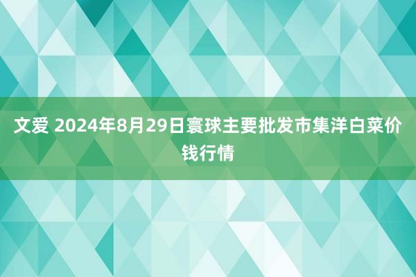 文爱 2024年8月29日寰球主要批发市集洋白菜价钱行情