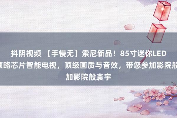 抖阴视频 【手慢无】索尼新品！85寸迷你LED XR领略芯片智能电视，顶级画质与音效，带您参加影院般寰宇