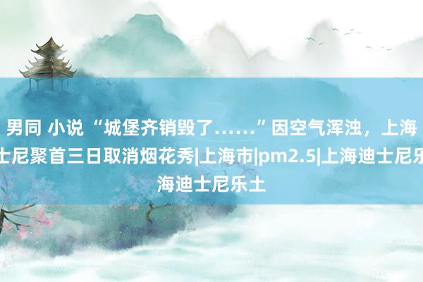 男同 小说 “城堡齐销毁了……”因空气浑浊，上海迪士尼聚首三日取消烟花秀|上海市|pm2.5|上海迪士尼乐土