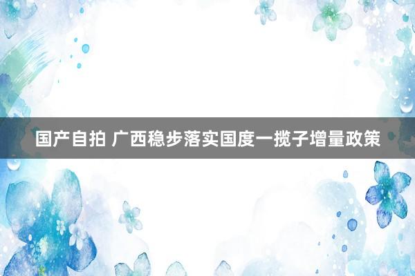 国产自拍 广西稳步落实国度一揽子增量政策