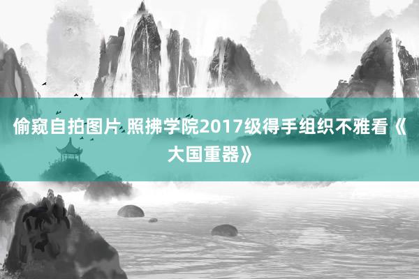 偷窥自拍图片 照拂学院2017级得手组织不雅看《大国重器》